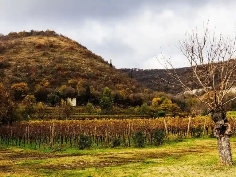 franciacorta