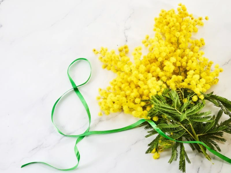 festa della donna milano