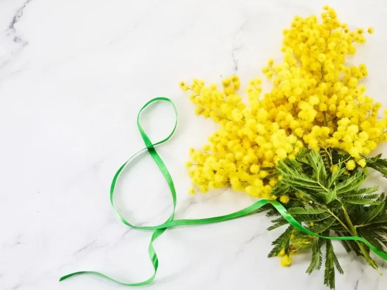 festa-della-donna-in-lombardia