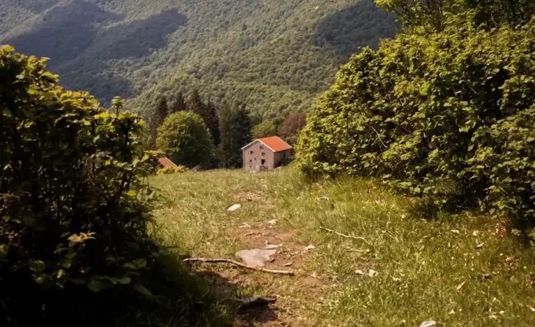 il sentiero delle espressioni