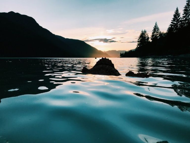 mostro del lago di como