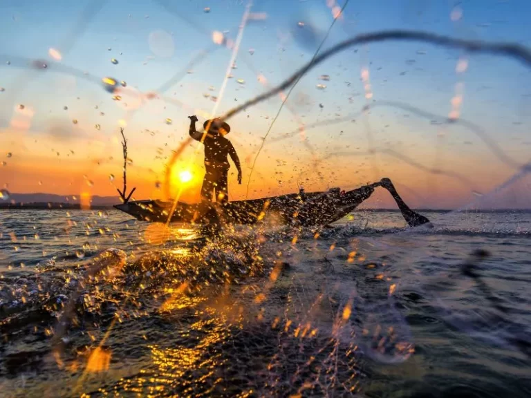 festa del pescatore lainate