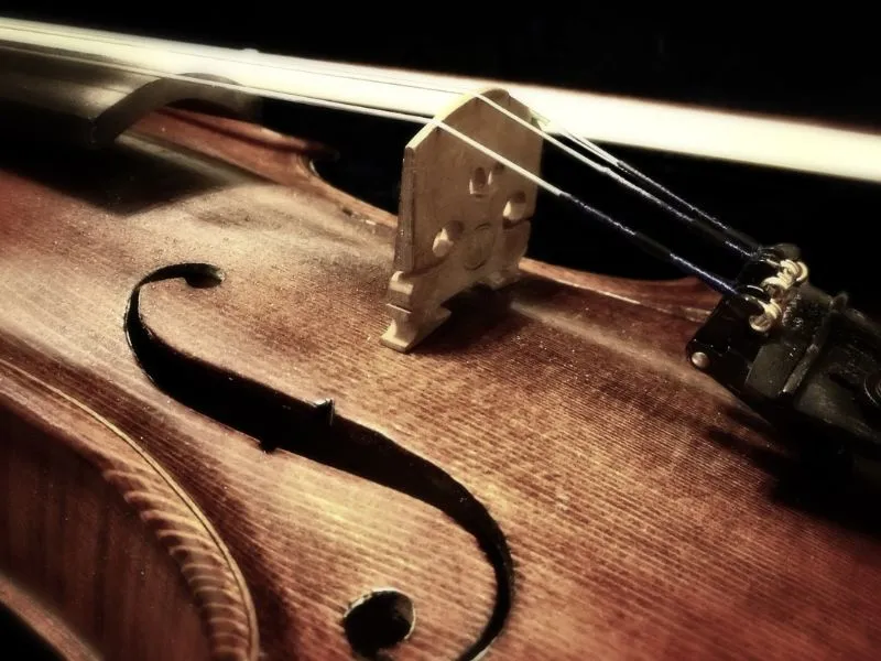 museo del violino a cremona