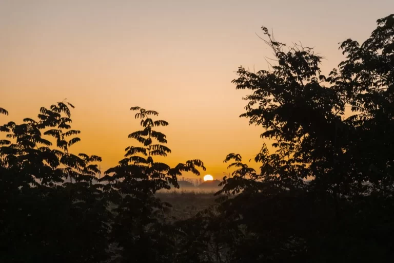 Cosa fare a giugno a Motta Visconti