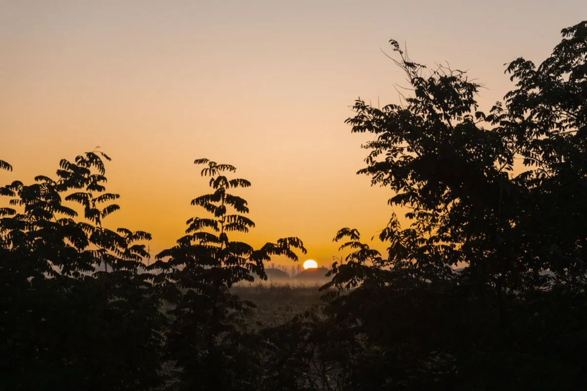 Cosa fare a giugno a Motta Visconti