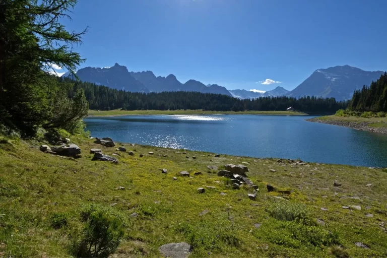 Cosa fare in Valtellina a Giugno 2025 Guida ad eventi, sagre e feste