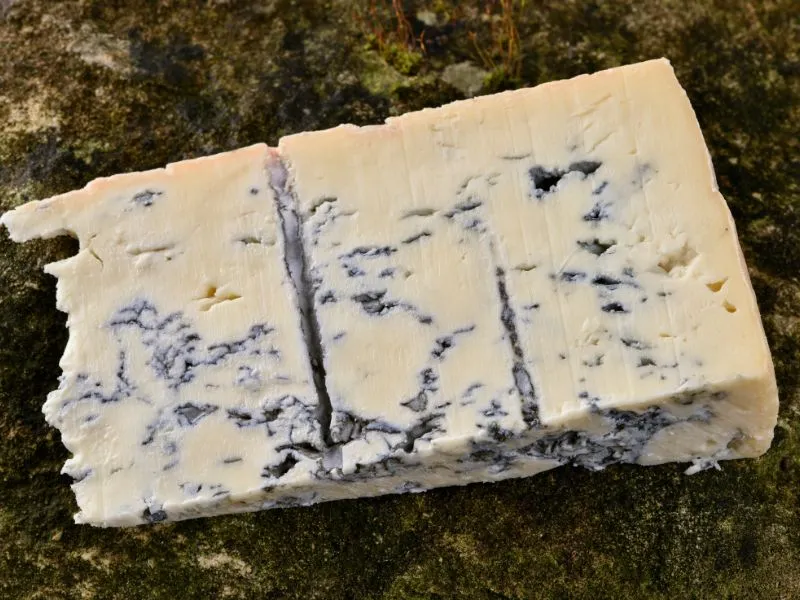 sagra del gorgonzola