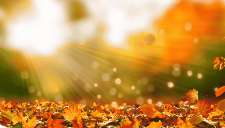 sagre autunno in lombardia