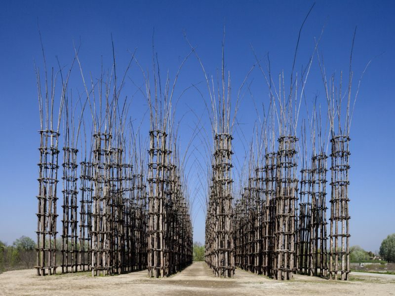 Cattedrale Vegetale di Lodi Cattedrale Vegetale di Lodi