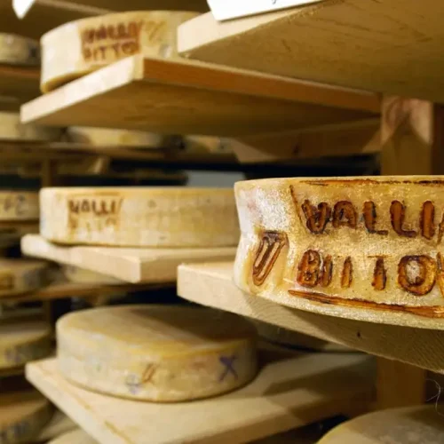 Sagra del Bitto 2025 a Valgerola