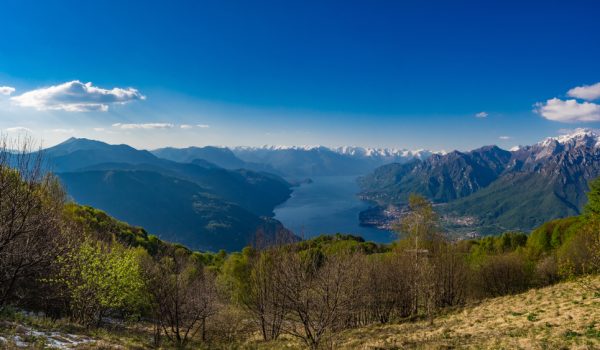 Spirito del Bosco Como