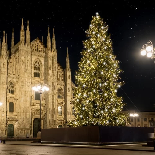 Alberi di Natale a Milano: Dove Verranno Installati e Quando Saranno Accesi