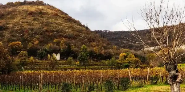 Alla scoperta della Franciacorta: un viaggio tra vini, borghi e paesaggi incantati