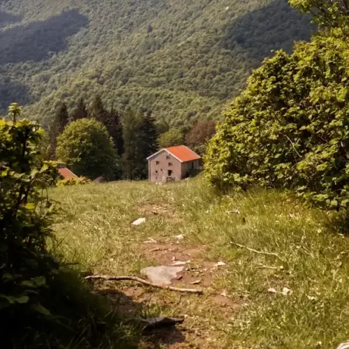 il sentiero delle espressioni