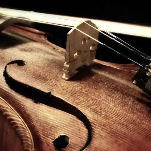 museo del violino a cremona
