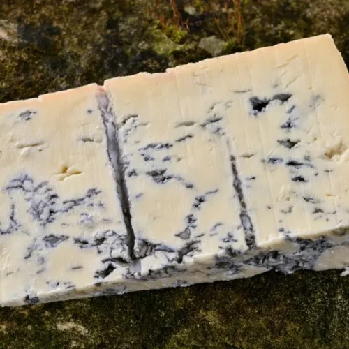 sagra del gorgonzola