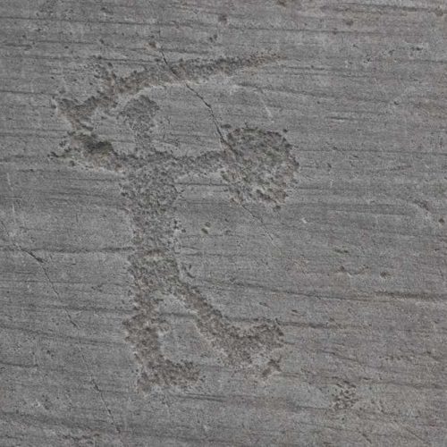 graffiti rupestri valcamonica